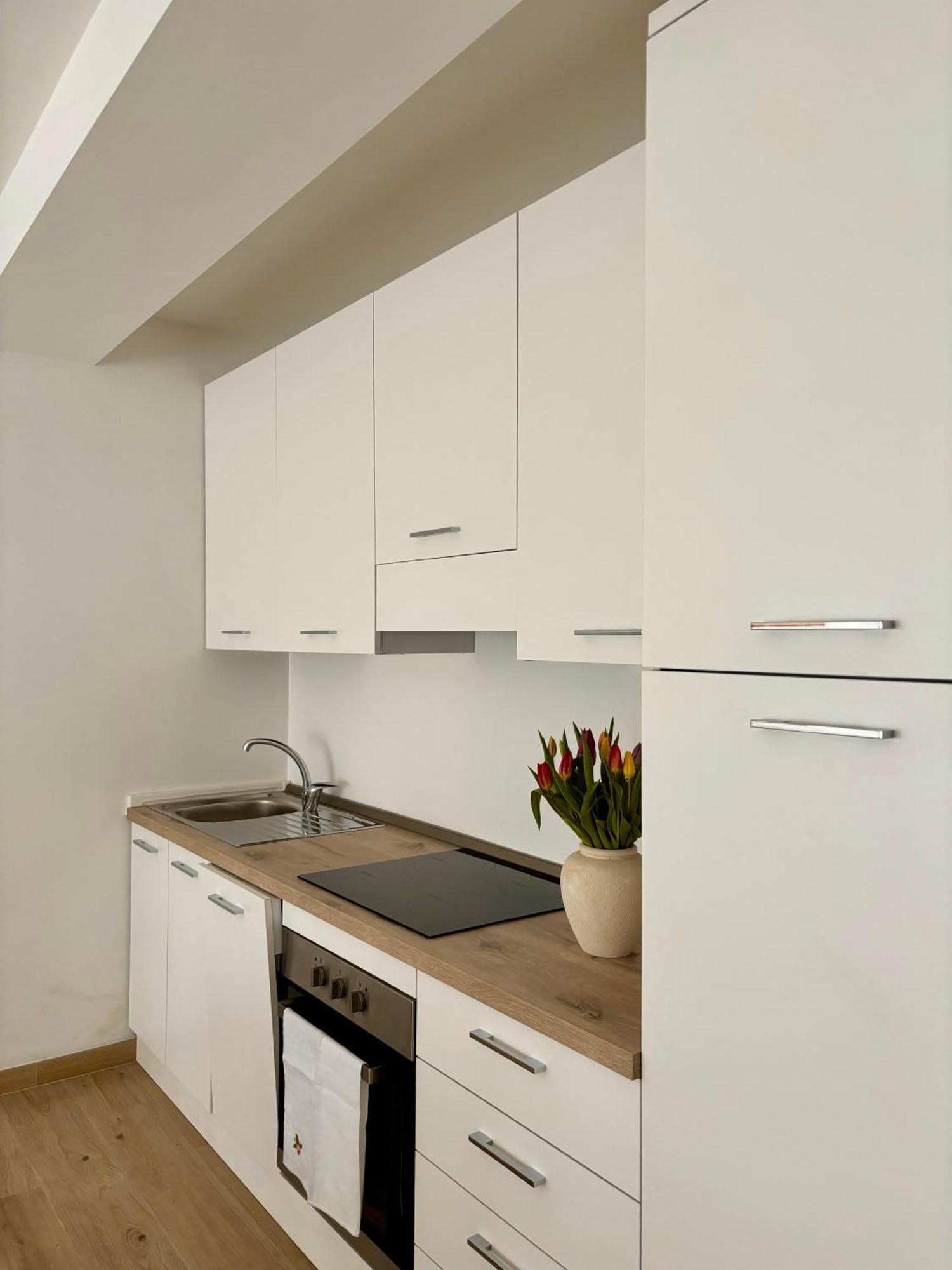 Tati&Ele Apartments Sedico ภายนอก รูปภาพ